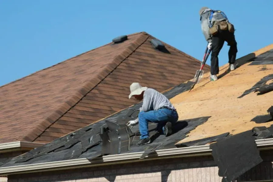 Wellington roofing guide