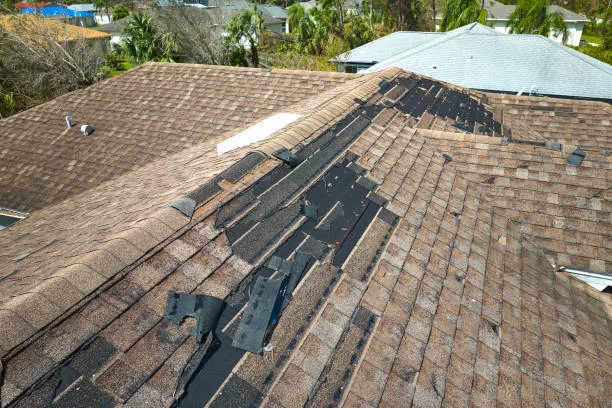 Exterior roof painting in progress